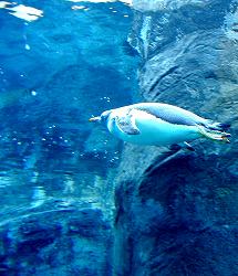 20061206-08hokkaido (16).jpg